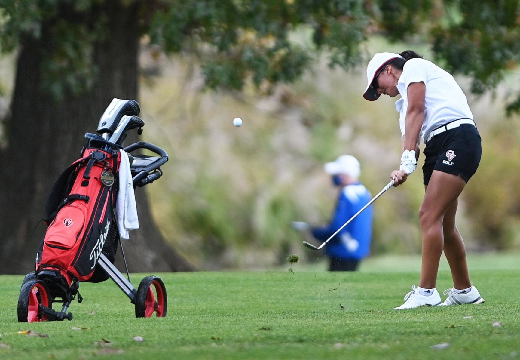 State Golf Championships 3A 10